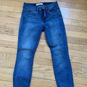 Womens Gap 26 short skinny jeans